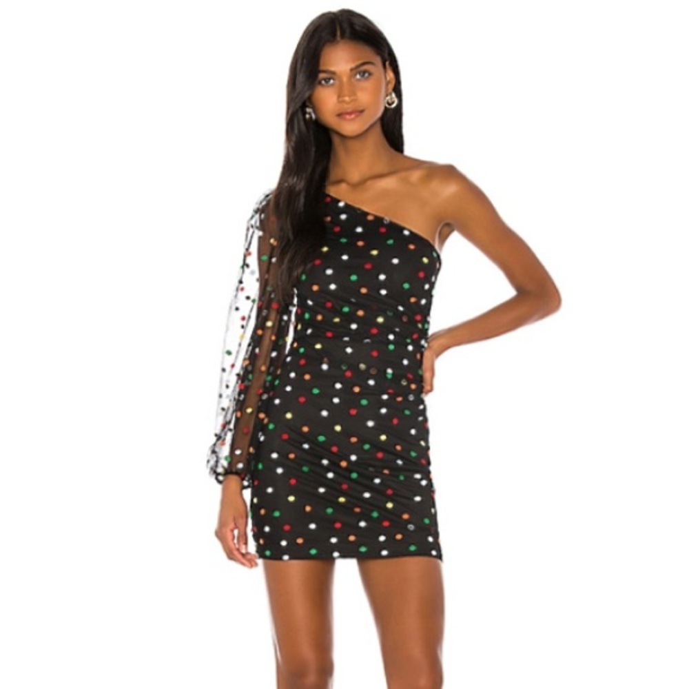 Camila Coelho Edite Embroidered Polka Dot Mini Dress